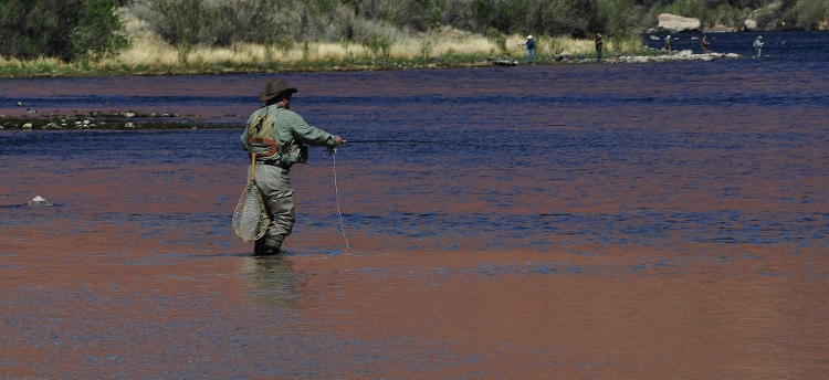 the Colorado River at Lees Ferry